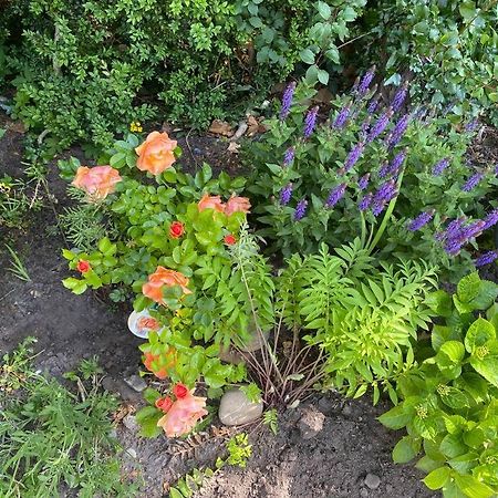 Urlaubsdomizil Norden/Norddeich, Mit Garten المظهر الخارجي الصورة